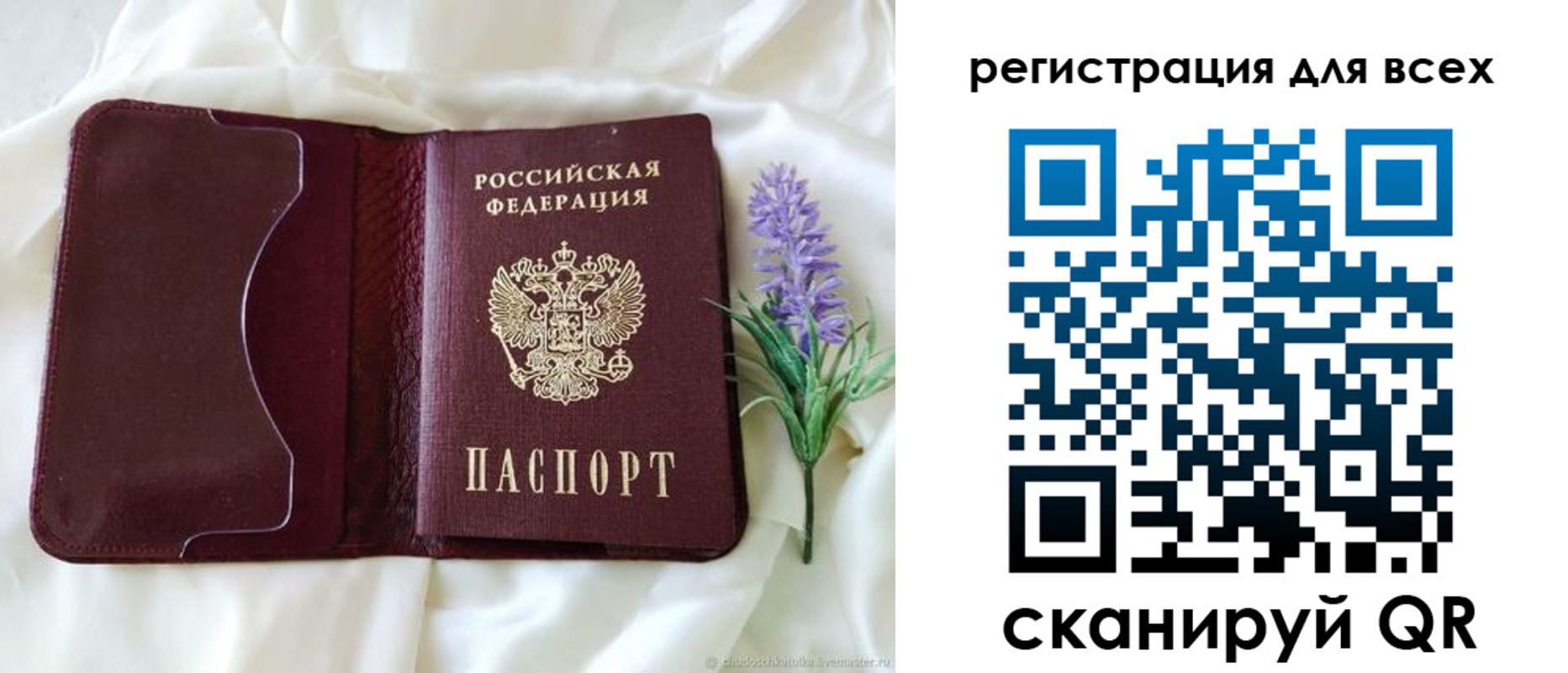 прописка 2025 в Братске